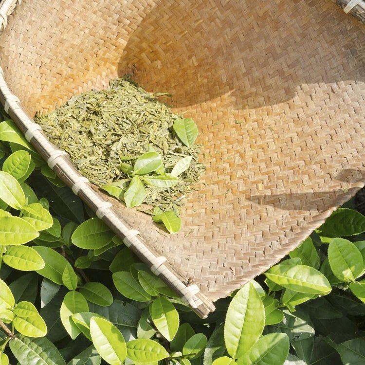 Saurabh Tea Estate